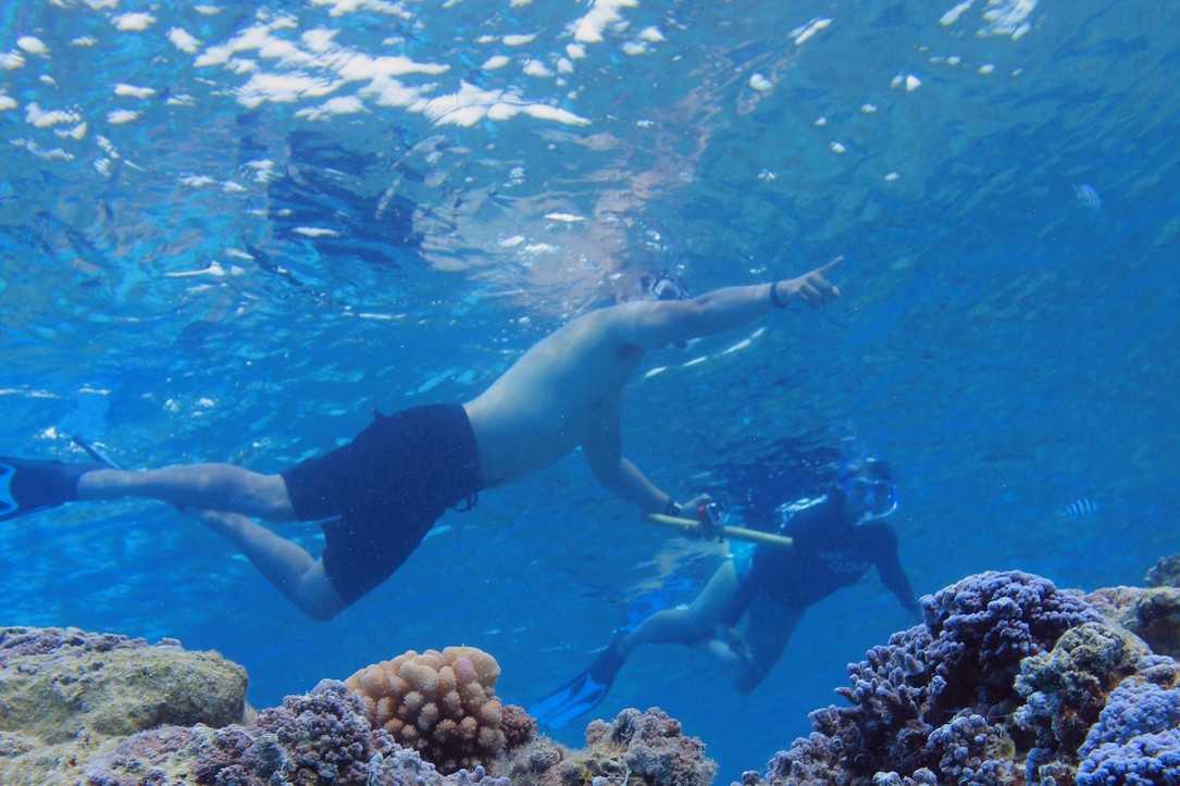 bora-bora-custom-snorkeling-activities