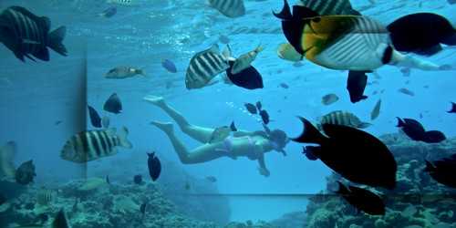 fun-snorkeling-excursion-bora-bora