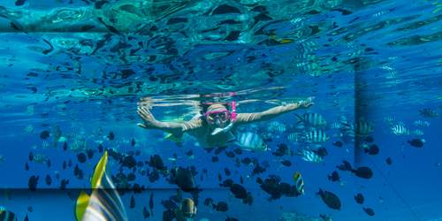 deluxe-bora-bora-tour-snorkeling