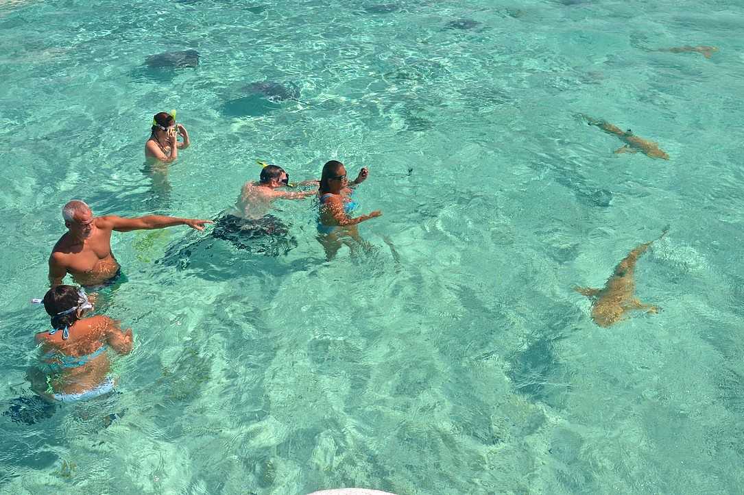 bora-bora-plongé-libre-raies-requins