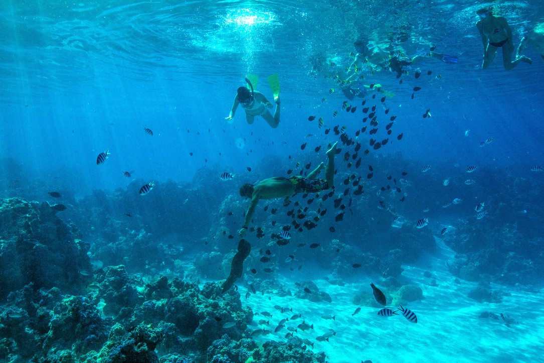 bora-bora-experience-publique-apnee