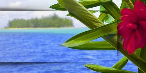 bora-bora-ile-de-reve